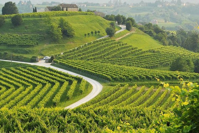 Prosecco Tour and Tasting from Venice - Who Will Love This Tour?
