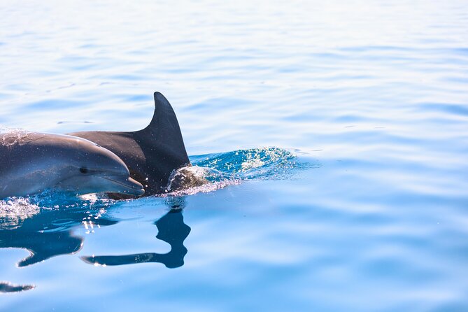 Pula Private Sailing Tour: 4-Hour Customizable Sail, Snorkel, SUP - Who Would Love This Tour?