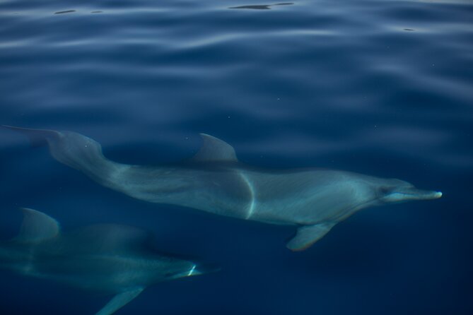 Pula Sunset Cruise: Brijuni Views, Drinks, Romance (Max 6 Guests) - Authentic Guest Experiences  