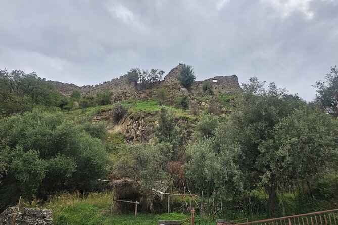 Research Your Ancestors in Sicily from Cruise Terminal of Messina - Culinary and Cultural Experiences