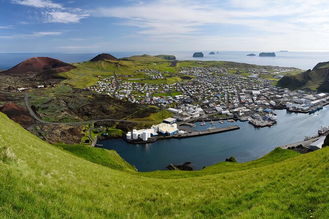 Reykjavik - Westman Islands (Bus transfer to Landeyjahöfn) - Who This Experience Is Perfect For