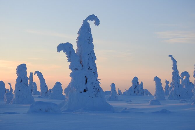 Riisitunturi National Park Snowshoe Experience - Final Summary
