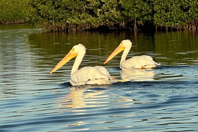 Robinson Preserve Nature Walk Eco Tour - Practical Tips for Visitors