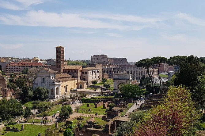 Rome Colosseum,Palatine Hill and Roman Forum Guided Tour - Final Thoughts