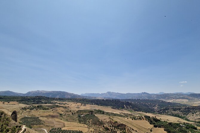 Ronda and White Villages Private Day Trip from Seville - FAQs