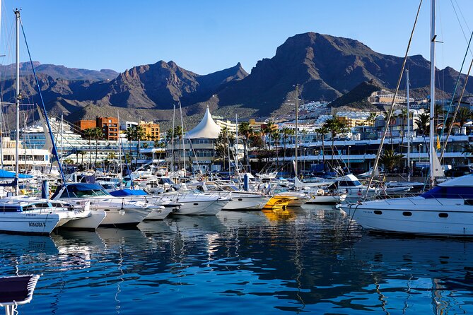 Secret Volcano Tour by Tuk Tuk in Costa Adeje - The Sum Up: Is the Secret Volcano Tuk Tuk Tour Worth It?