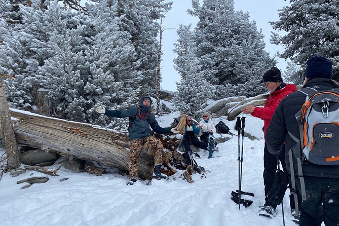 Self Guided Snowshoe Experience at Lake Tahoe - Final Thoughts: Who Should Consider This Experience?