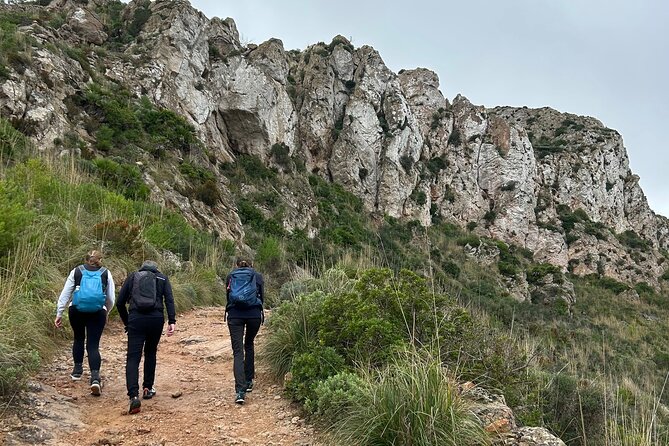 Sierra de Tramuntana hike with transportation and small picnic - Who Will Enjoy This Experience?