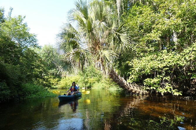 Small Group Scenic Wekiva River Kayak Tour near Orlando - The Sum Up