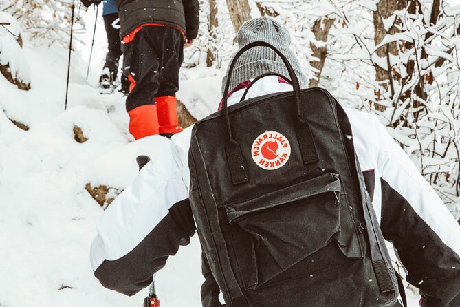 Snowshoeing tour with Wild Lunch - FAQ