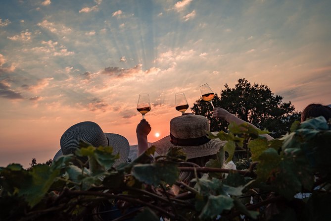 Sunset wine tasting in vineyard - Practical Tips for Travelers