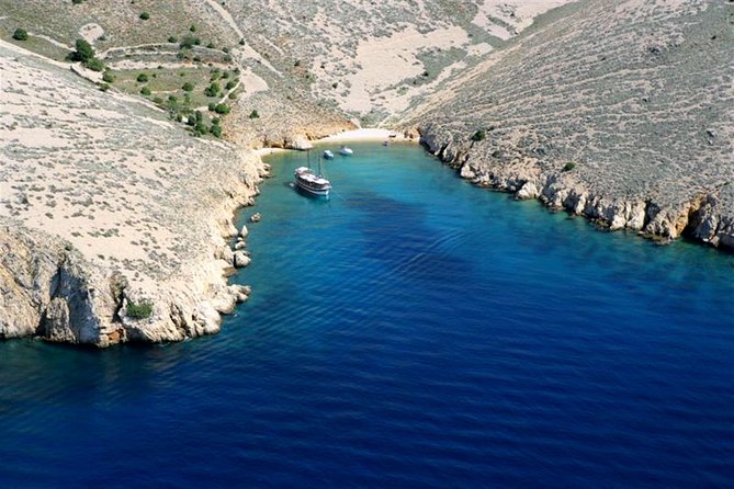 Swimming and Snorkeling on Wild bays with Captain Bobo - Authentic Feedback from Reviewers