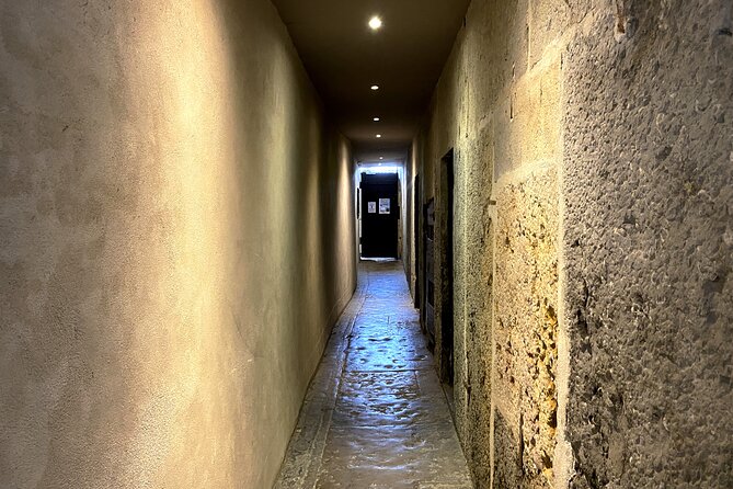 Taste Lyons Local Wines & Explore Hidden Traboules - Practical Details & Tips