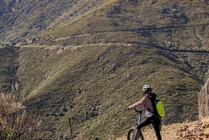The Collioure Tops on Electric Scooters - The Cost and Value
