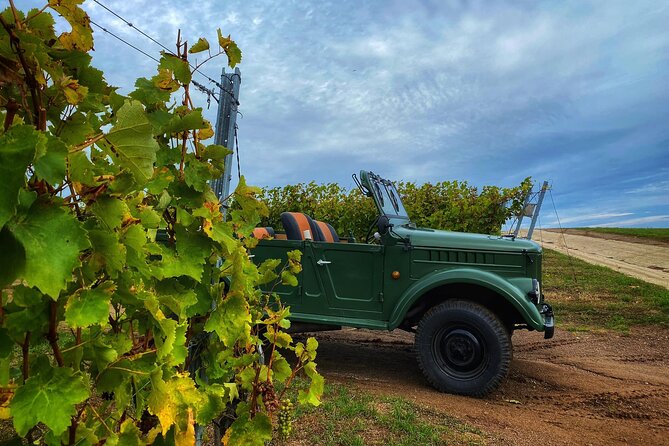 The only Wine Cocktail Club in Tokaj, Lunch & Fun, Hungary - Final Thoughts