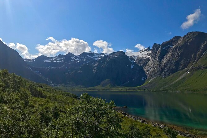 Tromsø: Exclusive Fjord Adventure by Bus - Authentic Guest Experiences