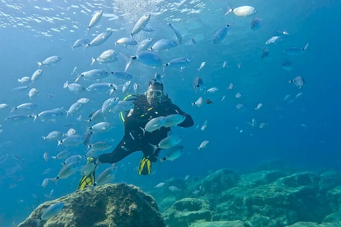 Try Dive - Scuba Diving with a private guide, incl. photos - Authentic Experiences & Real Insights from Reviewers