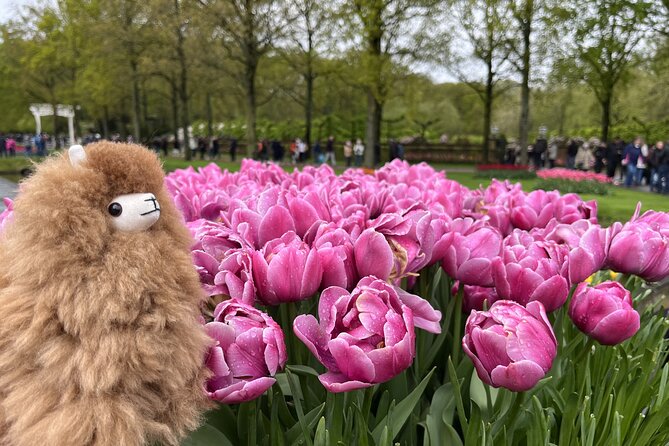 Tulip Paradise: Keukenhof Half-Day Private Tour - Who Will Love This Tour?