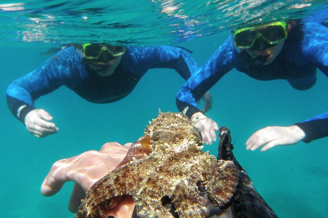 Water Taxi Lobos Island - FAQ