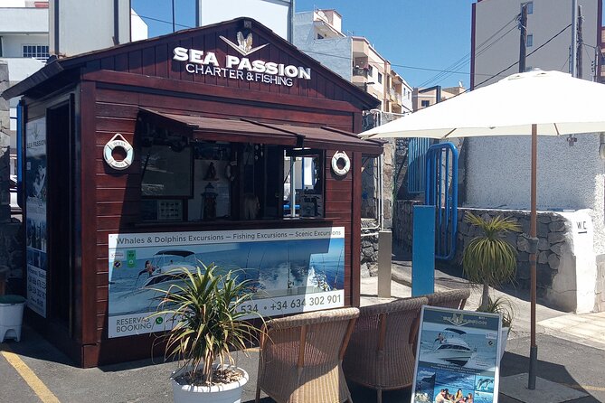 Whale watching and snorkelling in the whale sanctuary - Food and Beverages: A Nice Touch