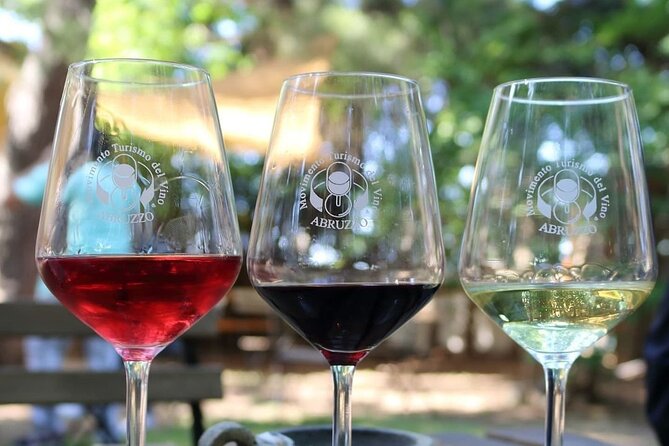 Wine Tasting and Guided Visit to the Vineyard and Cellar in S. Maria Imbaro - FAQ