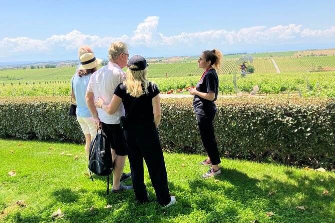 Wine Touring a Step Away from the city - FAQ