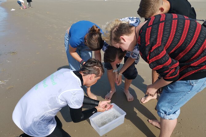 Zeeland Beach safari with Fishnet NL/DE - Final Thoughts
