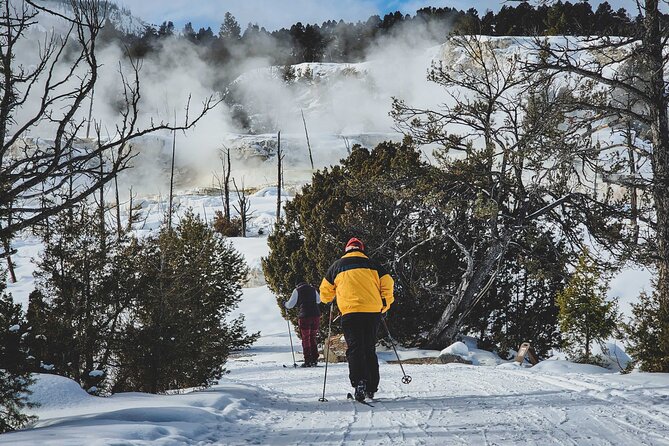 6 Day Winter Wonderland Tour in Yellowstone National Park - This review covers a highly-rated winter adventure through Yellowstone and Grand Teton National Parks, designed for explorers eager to see winter wildlife and stunning snowy landscapes.  