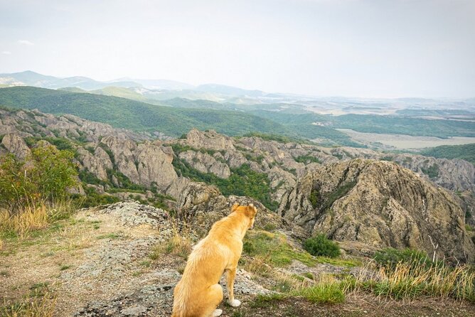 1 day hiking in Birtvisi Canyon from Tbilisi - FAQ
