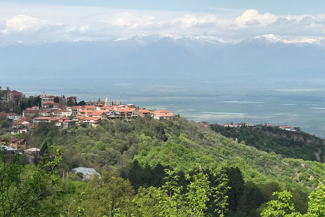 2 Days Private Organic Wine Tour to Kakheti Region via Rustavi and David Gareja - Frequently Asked Questions