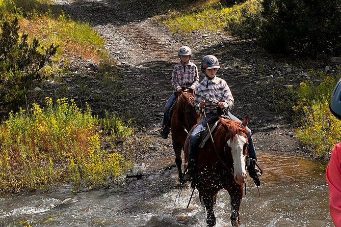 2 Hour Trail Ride in Montana Ranch Country - Who Might Want to Consider Other Options