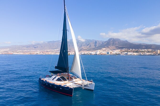3 hrs. Whale Watching and Relaxing Chill Out Catamaran with glass floor - Who Would Love This Tour?