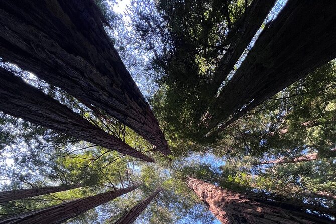 Alcatraz Night Tour & Muir Woods-Sausalito Afternoon or Morning - Frequently Asked Questions
