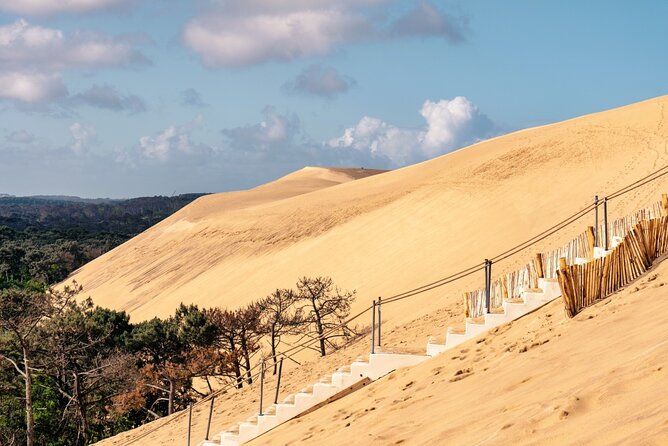 Arcachon Bay Full Day Trip from Bordeaux with lunch and Pyla Dune - Final Thoughts