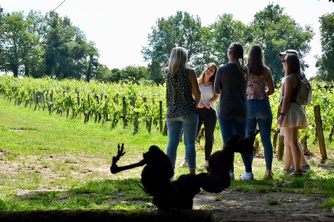 Backcountry E-Bike Adventure from Bordeaux: Wine Tasting & Lunch - Frequently Asked Questions