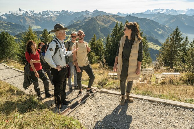 CabriO World's first Open Top Cable Car Ticket to Mt Stanserhorn - Final Thoughts