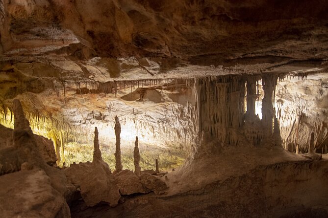 Caves Drach Boat Trip from Alcudia with Return Bus and Tickets - Who Would Love This Tour?