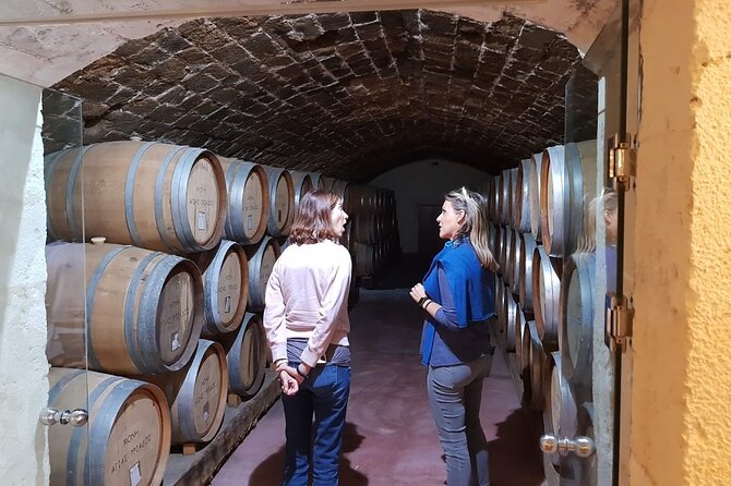 Crete Wine & Olive Oil Tour - The Sum Up
