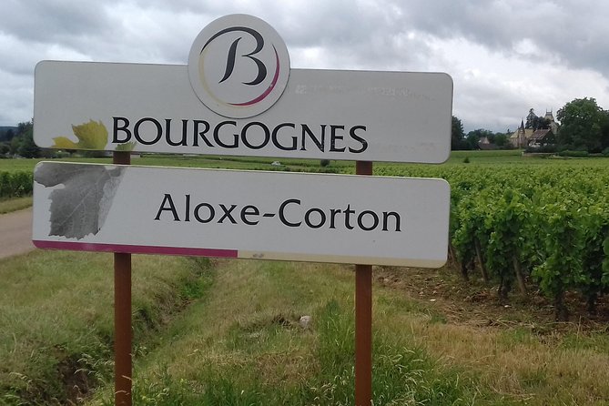 Day tour of the road of the Grands Crus vineyards of Burgundy. - Final Thoughts