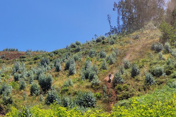 Dirt-Bike Tour in Madeira - Final Thoughts: Is It Worth It?