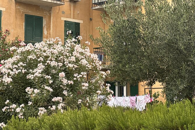 Discover the Pulse of Split with a Local Storyteller - FAQ