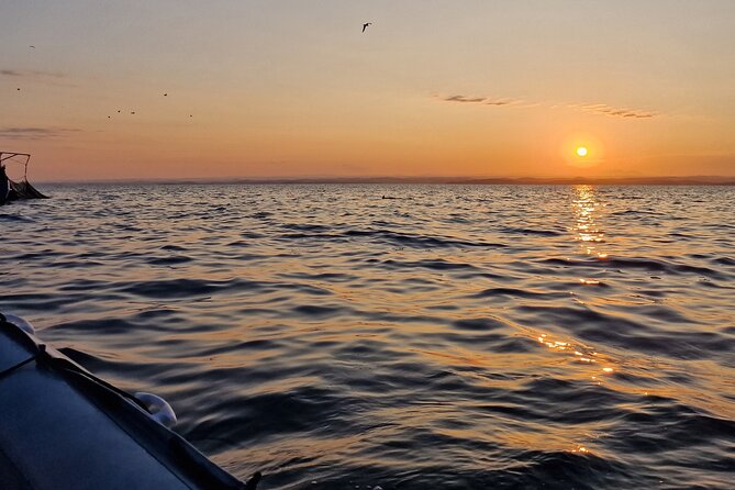 Dolphin Sunrise Adventure with Speedboat - Final Thoughts