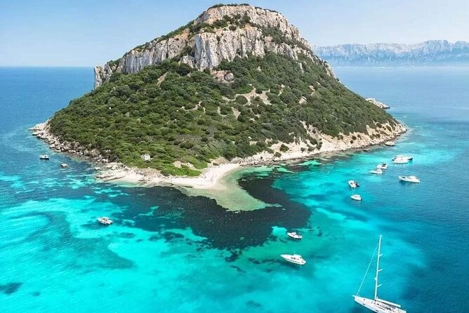 Dolphin Watching Boat Excursion to Figarolo Island from Olbia - FAQ
