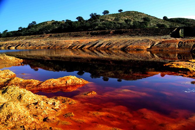 Doñana Natural Park Full-Day Tour from Seville - Final Words: Is It Worth It?