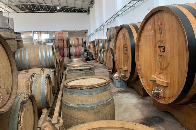 Douro Valley private tour includes wine tasting and boat trip - FAQs