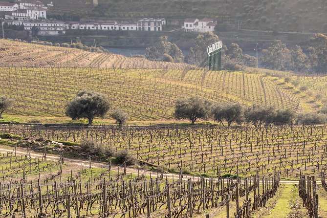 Douro Valley Wine Experience with a Sommelier - FAQs