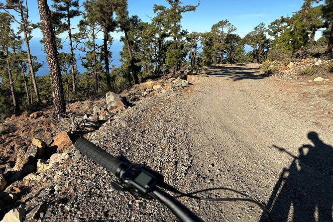E-bike Ride at Chinyero Natural Reserve - on premium bikes - Pricing and Value