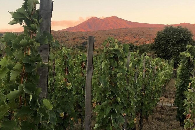 Etna and Wine: Adventure and Tasting between Craters and Cellars - Authentic Experiences from Travelers