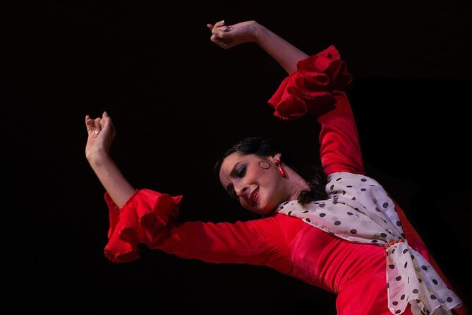 Flamenco Show in Cueva Zincalé - Who Would Love This Tour?