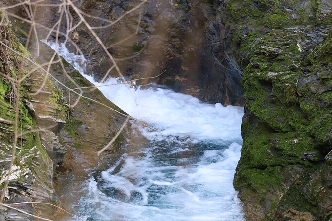 Forest Bathing in Tuscany with Wild Crafted Tea - Who Will Love This Tour?
